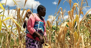 Zimbabwe on brink of man-made starvation: UN expert