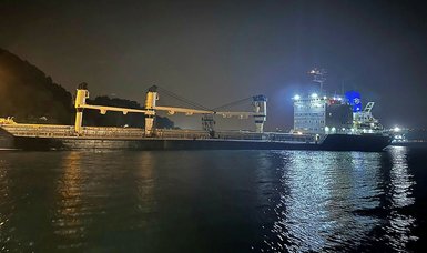 Ship traffic in Bosphorus suspended as cargo ship runs aground