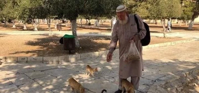 ELDERLY PALESTINIAN DEVOTED TO CARING FOR AL-AQSA CATS DIES OF COVID-19 DISEASE