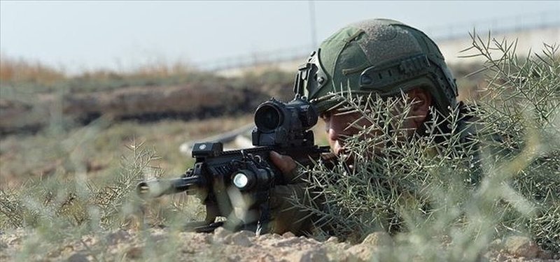 Steadfast Defender 2024: Bulgaria says NATO exercise aims to show it is ready to defend territory