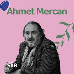 Mangalsız Evler