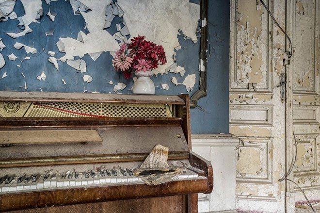 Profesyonel bir piyanist ve fotoğrafçı olan Thiery, 2009’da fotoğrafçılığa başladı.