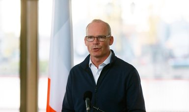 Dublin hopeful N.Ireland protocol talks will resume within weeks