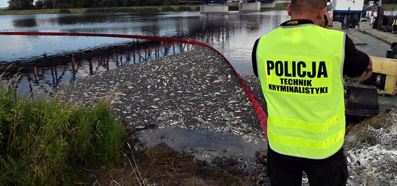 TESTS IN POLAND AND GERMANY FAIL TO ANSWER WHAT CAUSED FISH DIE-OFF