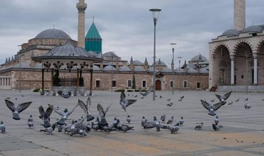 Record increase in museum card sales following price reduction