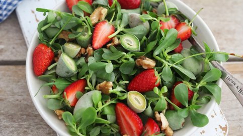 Çilekli, Çağlalı Semizotu Salatası