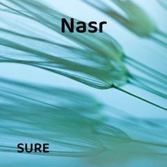 Nasr Suresi'nin Anlamı ve Türkçesi 