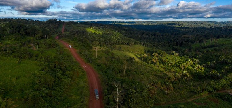 TROPICAL FOREST THE SIZE OF ENGLAND DESTROYED IN 2018: REPORT
