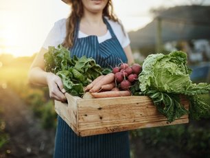 Sürdürülebilir Gastronomi: Çevre Dostu Mutfaklar