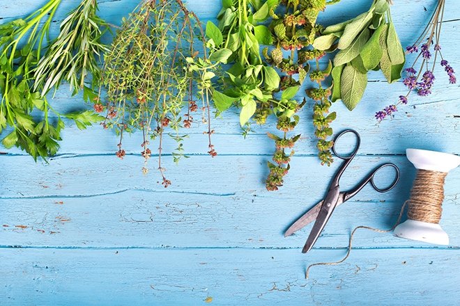 Edebiyatın önemli şairlerinden bahar konulu şiirler