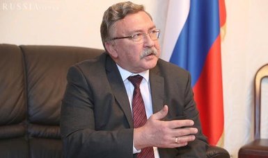 Ukraine slams Russian envoy's Ulyanov comments as 'call to genocide'
