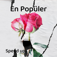 En Popüler Speed Up