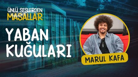 Marul Kafa'nın sesinden Yaban Kuğuları masalı