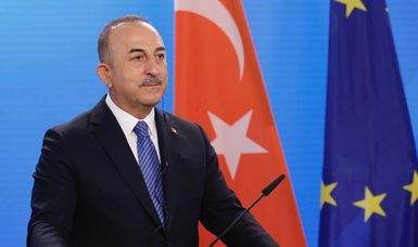 Turkey's FM Çavuşoğlu: All foreign mercenaries should leave Libya