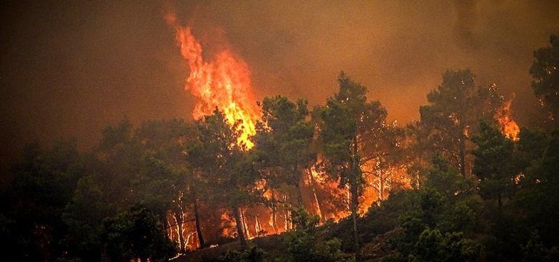 THOUSANDS FLEE GREEK ISLAND FIRES AS NORTHERN HEMISPHERE SWELTERS