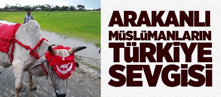 Arakanlı Müslümanların Türkiye sevgisi