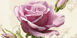 Romantizm ve romantikler