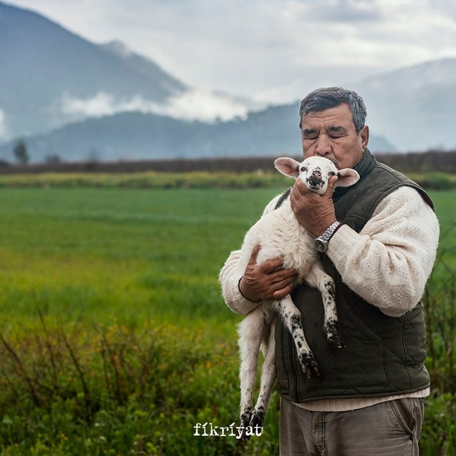 Kurban çeşitleri nelerdir?