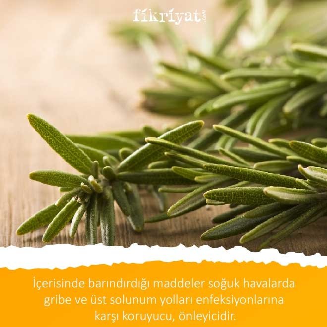 BİBERİYE