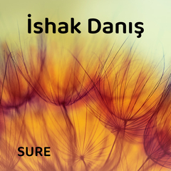 Zilzâl suresi
