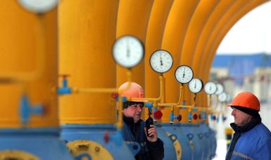 German gas reserves 100% full: govt agency