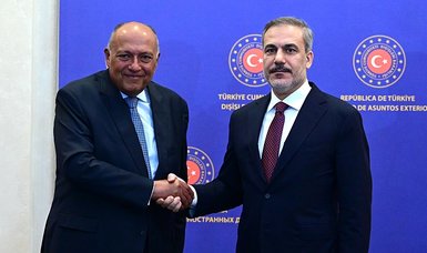 Ankara, Cairo working together to find lasting solution to Sudan crisis: Turkish FM Fidan