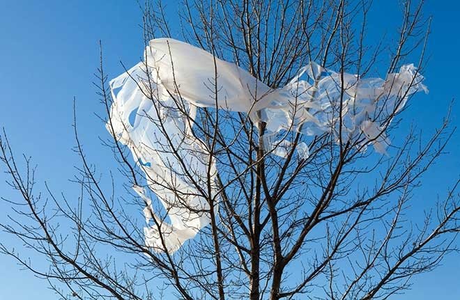 DİĞER ÜLKELERDE YAPILAN ÇALIŞMALAR