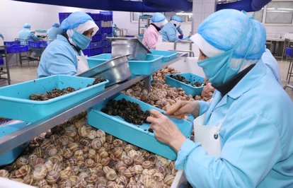 Dondurulmuşmeyvevesebzeihracatındaartış