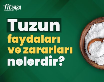Tuzun Yararları Ve Zararları Nelerdir?