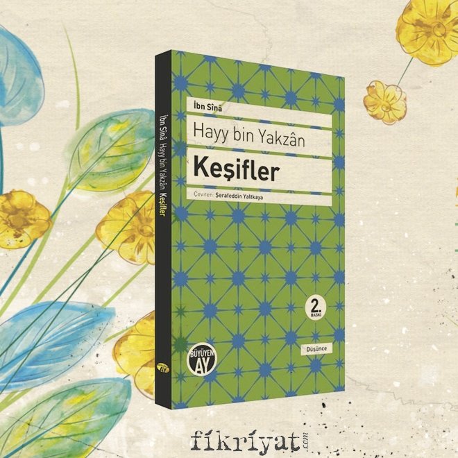 Hayy Bin Yakzan Keşifler