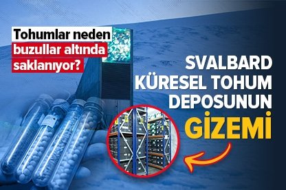 Tohumlar Neden Buzullar Altında Saklanıyor? Svalbard Küresel Tohum Deposu’nun Gizemi