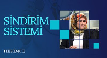 Sindirim Sistemi | Hekimce