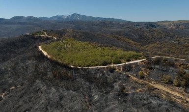 Greece wildfire consumes 100,000 acres