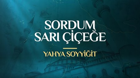 Yahya Soyyiğit - Sordum Sarı Çiçeğe