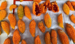 Gıda ve kozmetikte talebi arttı