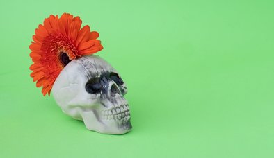 KRONİK MEMNUNİYETSİZLER VE HASTALIKLI FANATİZM