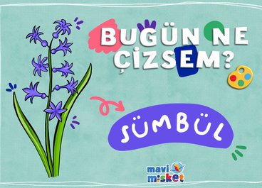 Bugün Ne Çizsem? Sümbül