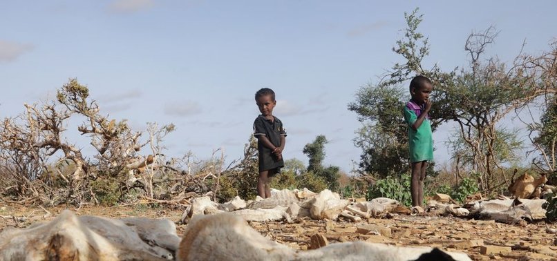 OVER HALF A MILLION YOUNG CHILDREN IN SOMALIA FACE ACUTE MALNUTRITION