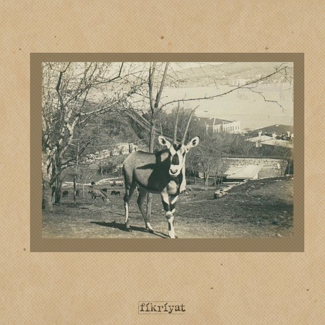 ABDÜLHAMİD’İN ÖZEL KOLEKSİYONU