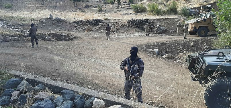 TURKEY NEUTRALIZES 2 PKK TERRORISTS IN ADIYAMAN