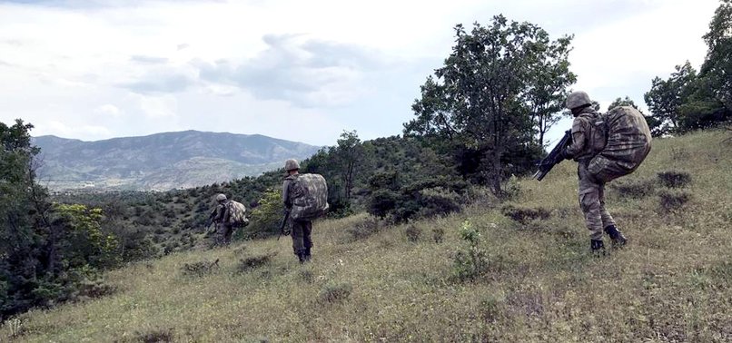 10 PKK TERRORISTS NEUTRALIZED IN EASTERN TURKEY