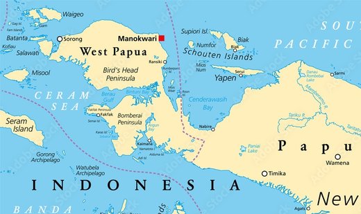 6.0-magnitude earthquake in Indonesia