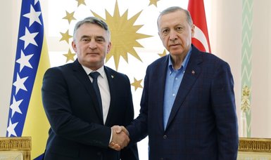 Erdoğan meets with Bosnian Croat leader in Istanbul for talks
