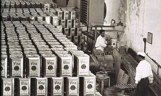 Vita bir yılda yüzde 55 büyüdü