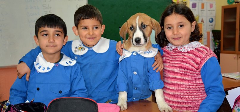 DEATH OF ADOPTED PUPPY LEAVES TURKISH STUDENTS IN GRIEF
