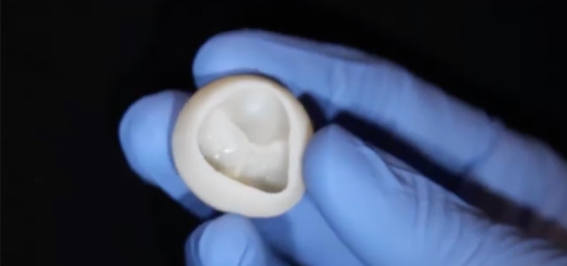 SCIENTISTS CREATE 3D PRINTED HEART USING COLLAGEN