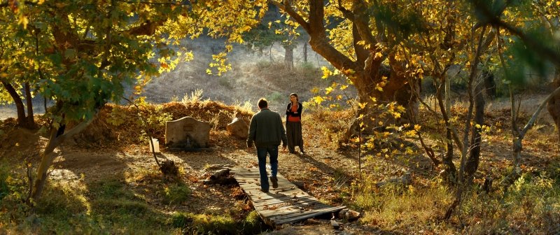 OSCAR ADAYI: AHLAT AĞACI