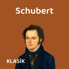 Symphony No. 1 in D Major, D. 82 IV. Allegro vivace 