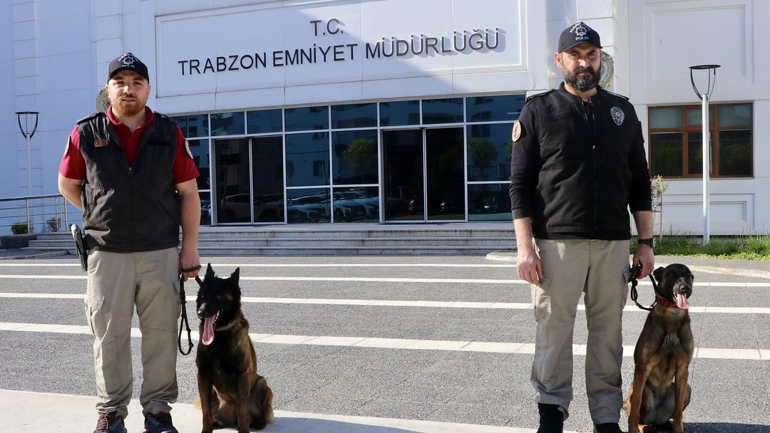 ZEHİR TACİRLERİNE GÖZ AÇTIRMIYORLAR