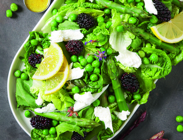 Kuşkonmazlı Karadutlu Mevsim Salata